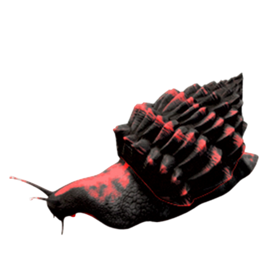 Achatina Top Food